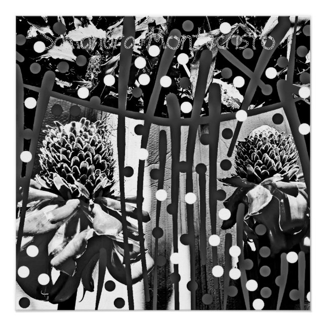 Black & White Pineapple Flower DUO Glossy Poster (Front)