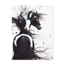 Black White Pinto Paint Horse by Bihrle Post Card