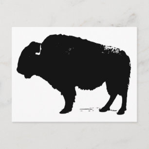 Black & White Pop Art Buffalo Bison Postcard
