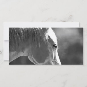 Black & White Pop Art Horse