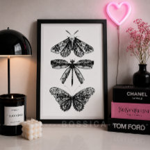 Black & White Poster Butterfly Dragonfly & Moth