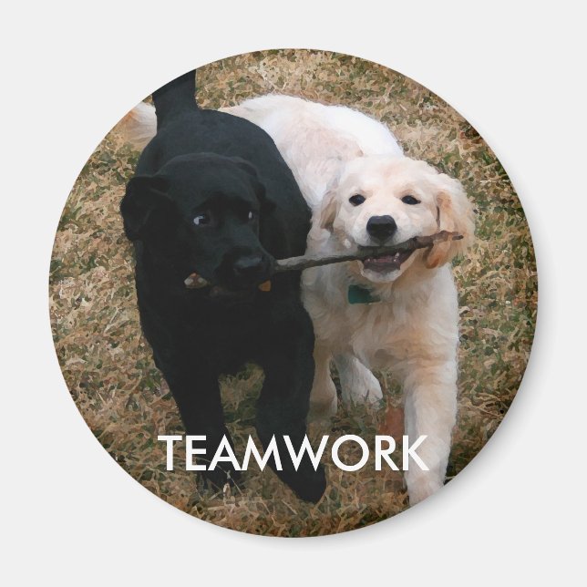 Black & white puppies magnet (Front)