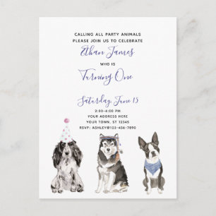 Black White Purple Script Baby 1st Birthday Party Invitation Postcard