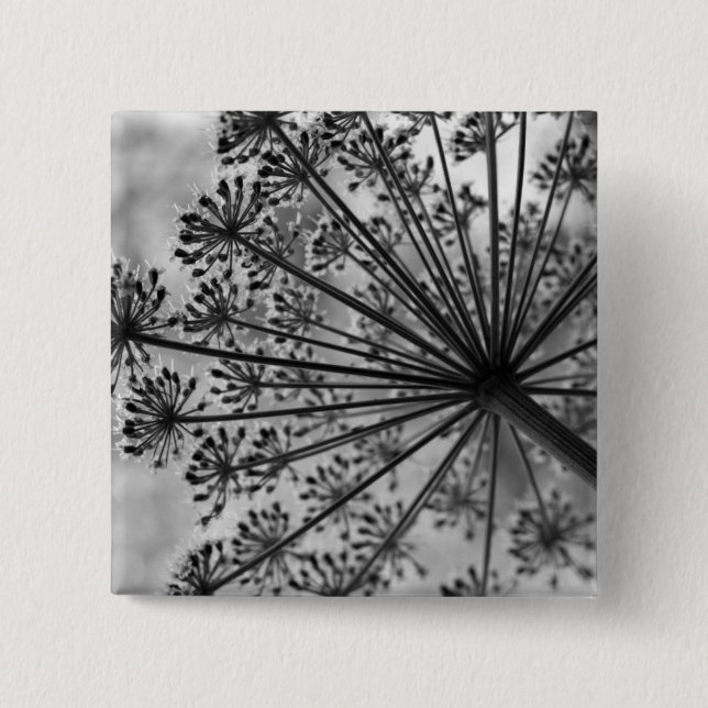 Black & White Queen Anne's Lace 15 Cm Square Badge (Front)