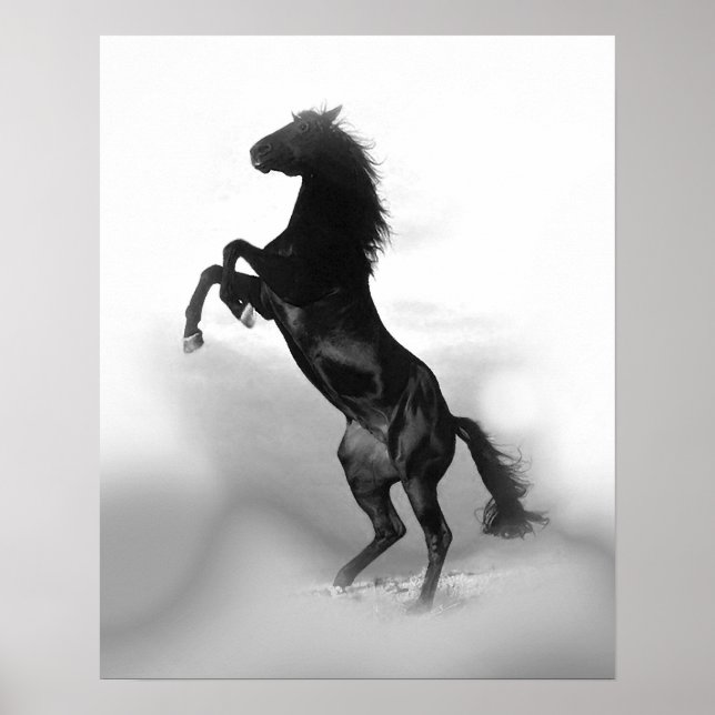 Black White Rearing Horse Freedom Poster (Front)