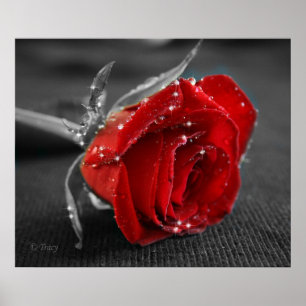 Black/White/Red Poster