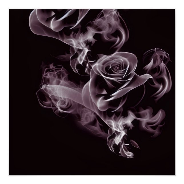 Black - white rose - abstract.  poster (Front)