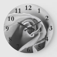 Black & White Rose