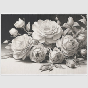 Black & White Roses in Bloom Tissue Paper