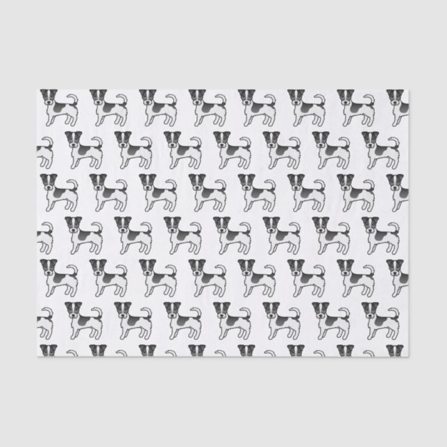 Black & White Rough Coat Jack Russell Terrier Dogs Tissue Paper (Front)