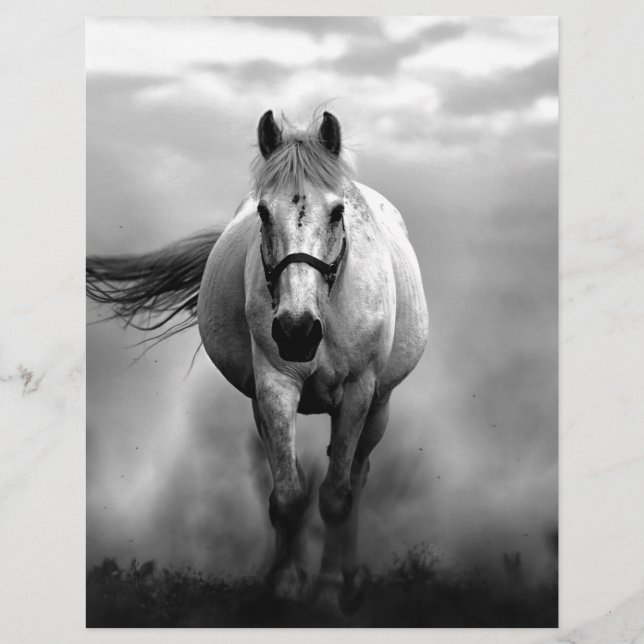 Black White Running Horse Freedom (Front)