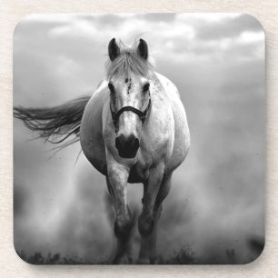 Black White Running Horse Freedom Coaster