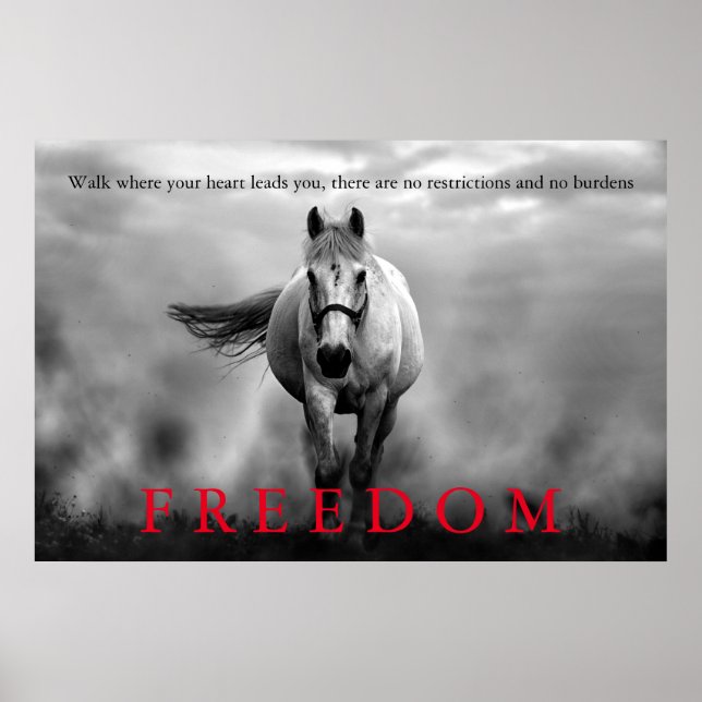 Black White Running Horse Freedom Inspirational Poster (Front)
