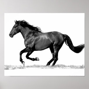 Black & White Running Horse Poster