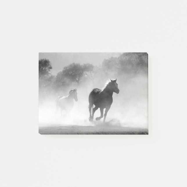 Black & White Running Horses Photo Artwork Post-it Notes (Front)