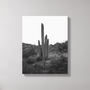 Black & White Saguaro Cactus 11x14 Canvas Print