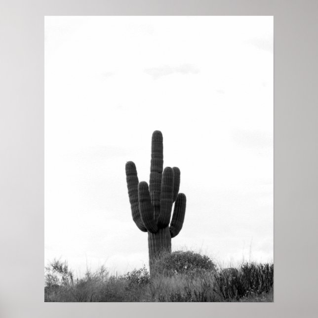 Black & White Saguaro Cactus on Top of Hill 16x20 Poster (Front)