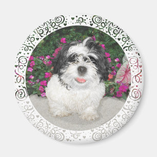 Black & White Shih Tzu Puppy Rescue Dog Magnet