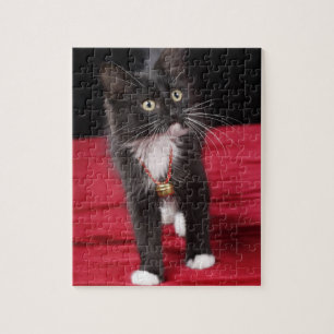 Black & white short-haired kitten, 2 1/2 months jigsaw puzzle