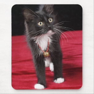 Black & white short-haired kitten, 2 1/2 months mouse mat