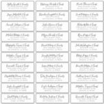 Black & White Simple Wedding Guest Names Address<br><div class="desc">Composed of simple serif and modern cursive script typography. These elements are simple,  elegant,  and modern. This has 30 stickers. 
 
 This is designed by White Paper Birch Co. exclusive for Zazzle.
 
 Available here:
 http://www.zazzle.com/store/whitepaperbirch</div>