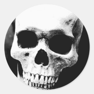 Black & White Skull Classic Round Sticker