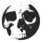 Black & White Skull