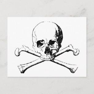 Black & White Skull & the Bones Postcard