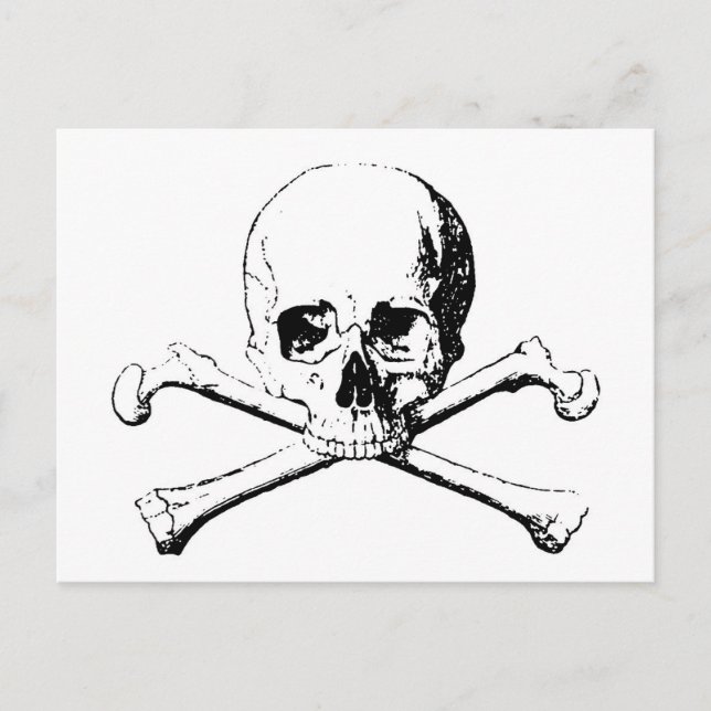 Black & White Skull & the Bones Postcard (Front)