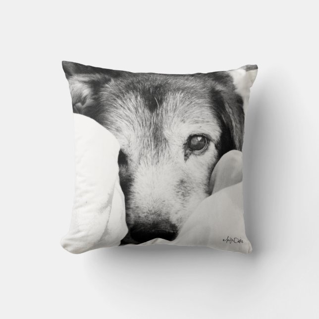black white sleepy dog puppy shepherd pillow (Front)