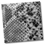 Black White Snake Tile<br><div class="desc">Black White Reptile Animal Snake Skin Pattern ceramic tile. Fun faux animal print of black and white snake skin. This is a closeup photo where you can almost see the 3D of the scales. Whether you want to use this tile as a little coaster or trivet for a drink or...</div>