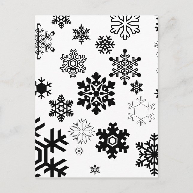Black & White Snowflakes Postcard (Front)