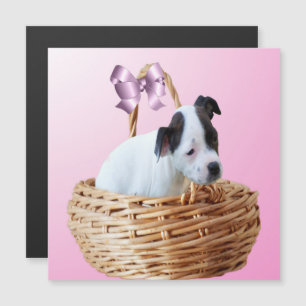 Black White Staffordshire Puppy, Magnetic Card