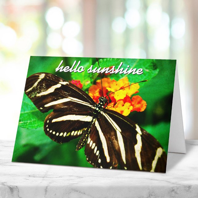 Black White Stripe Butterfly Hello Sunshine Script Card (Creator Uploaded)