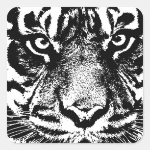 Black White Sumatran Borneo Tiger Eye Artwork Square Sticker
