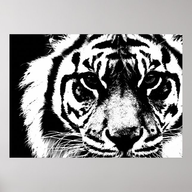 Black & White Sumatran Borneo Tiger Eyes Poster (Front)