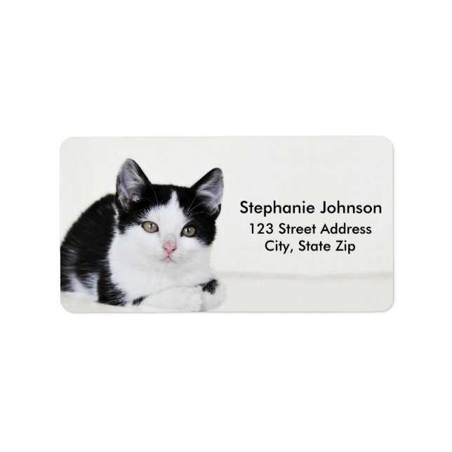 Black White Thoughtful Kitten Address Labels (Front)