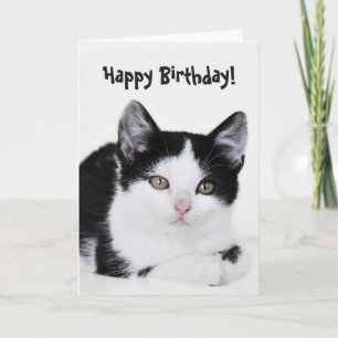 Black White Thoughtful Kitten Greeting Card