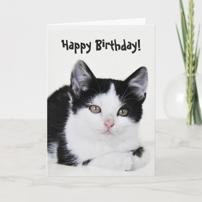 Black White Thoughtful Kitten Greeting Card (Front)