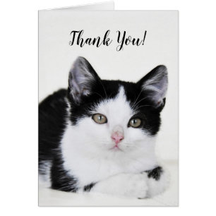 Black White Thoughtful Kitten Greeting Card