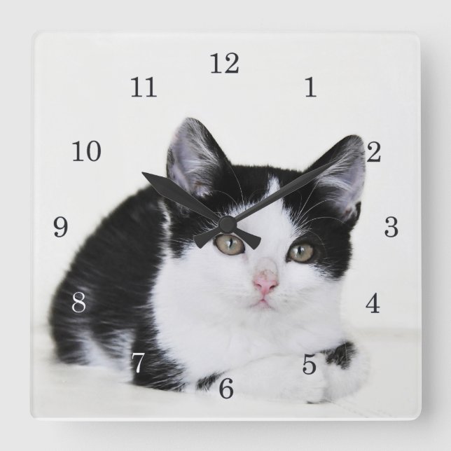 Black White Thoughtful Kitten Wall Clock (Front)
