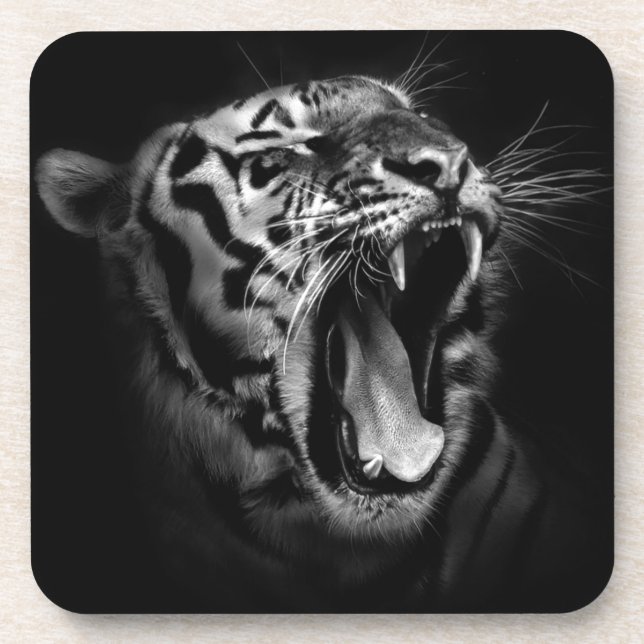 Black & White Tiger Coaster (Front)