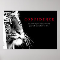 Black White Tiger Confidence Quote Inspirational