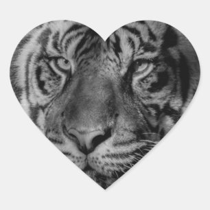 Black & White Tiger Heart Sticker