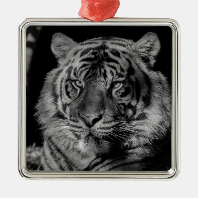 Black & White Tiger Metal Tree Decoration (Front)