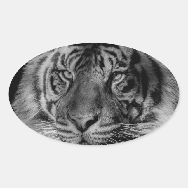 Black & White Tiger Oval Sticker (Front)