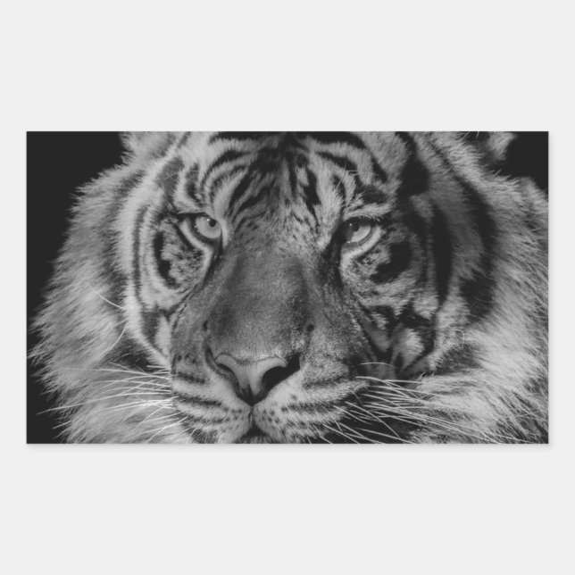 Black & White Tiger Rectangular Sticker (Front)