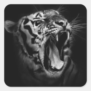 Black & White Tiger Square Sticker