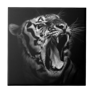 Black & White Tiger Tile