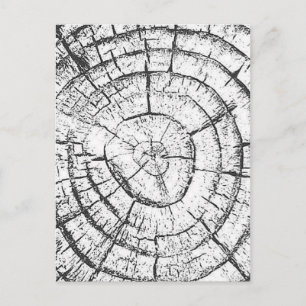 Black & White Tree Trunk Contemporary Collection Postcard